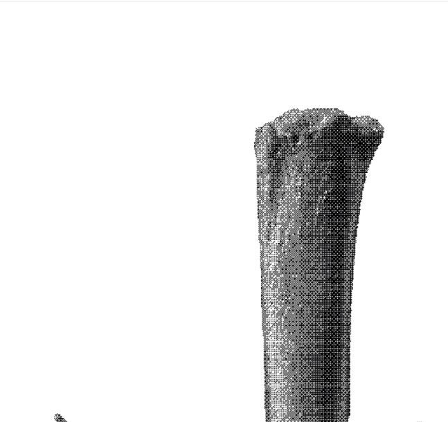ÉPIDERMIQUE sculpture